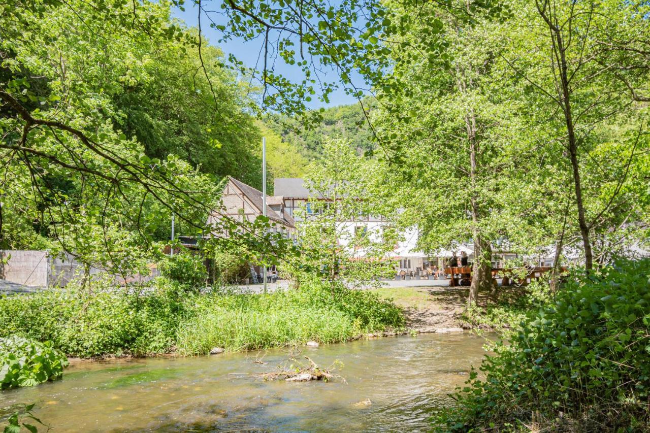Landhotel Ringelsteiner Muehle モーゼルケルン エクステリア 写真